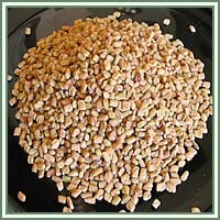 Fenugreek Fenugreek